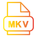 mkv 