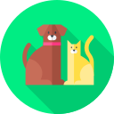 mascotas icon