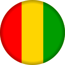 guinea icon