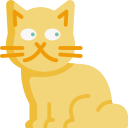 gato icon