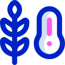 temperatura icon