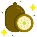 kiwi icon