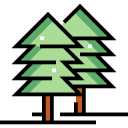 bosque icon