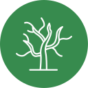 Árbol seco icon