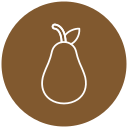 aguacate icon