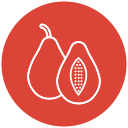 papaya icon