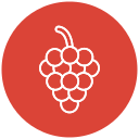 uvas icon