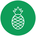 piña icon