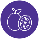 guayaba icon