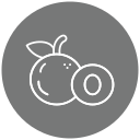 longan icon