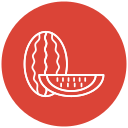 melón icon