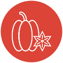 carambola icon