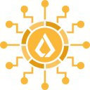 divisa icon