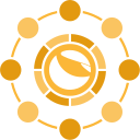 divisa icon