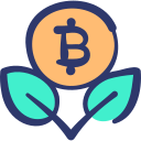 bitcoin icon