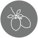 olivos icon