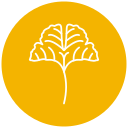 gingko icon