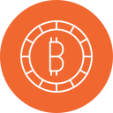 bitcoin icon