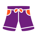 pantalones cortos icon