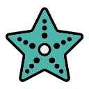 estrella de mar