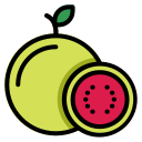 guayaba icon