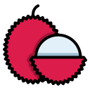 lychee icon