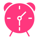 reloj icon