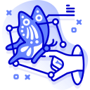 mariposa icon