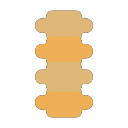 Columna vertebral icon