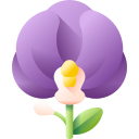 orquídea 