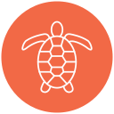 tortuga icon