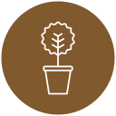 myrtus icon