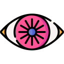 retina icon