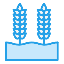 grano de trigo icon