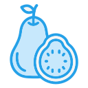 guayaba icon