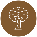 Árbol icon