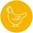 pollo icon