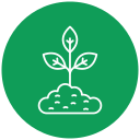 plantación icon