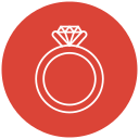 anillo icon