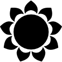 budismo lotus icon