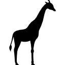 jirafa mirando a la derecha icon