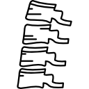 osso della colonna vertebrale icona