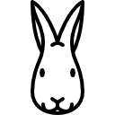 cabeza de conejo 