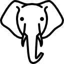 cabeza de elefante 