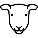 Female Sheep Head icon