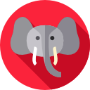 elefante