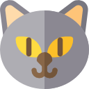 gato icon