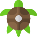 tortuga icon