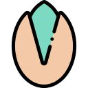 pistacho icon