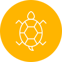 tortuga icon